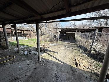 Продажа коттеджей и домов: Продается дом с большим дворовым участком 16.5 соток (фактически 20)и — 9