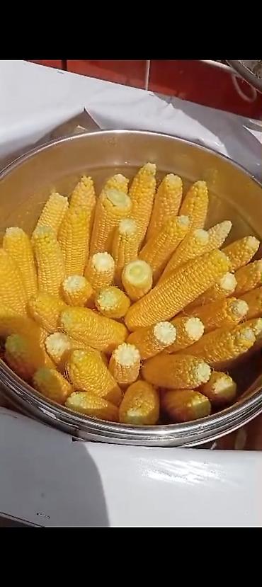 варка: Аппарат для приготовления горячей кукурузы (кукурузоварка) - — 2