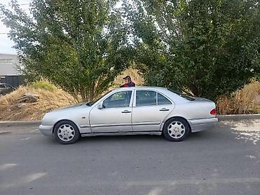 Mercedes-Benz : 1996 г., 3.2 л, Автомат, Бензин, Кроссовер