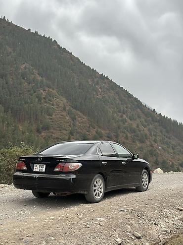 105 серия 10: Lexus ES: 2003 г., 3.3 л, Автомат, Газ, Седан — 2