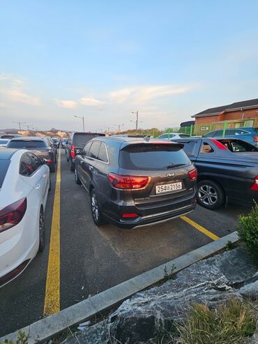 Kia: Kia Sorento: 2018 г., 2 л, Автомат, Дизель, Внедорожник — 20