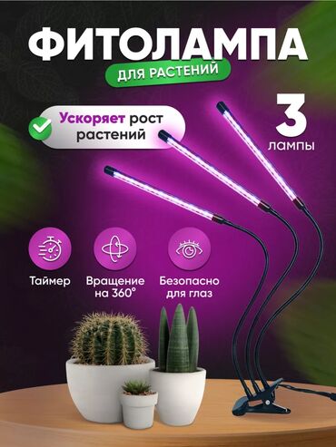 кварцевая лампа для помещений купить: Фитолампа для растений ✅ Ускоряет рост ✅ 3 типа освещения ✅