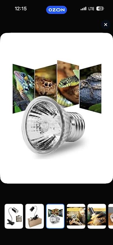 sican sekili: Terrarium və akvarium üçün klipsli lampa dəsti. Şəkillərdə görünən — 2
