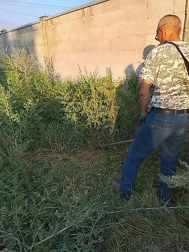 прополка травы: Уборка территории, Стрижка газона — 4
