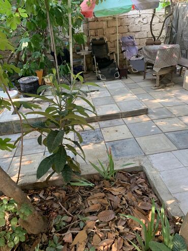 Bağ və bostan üçün digər məhsullar: Продаю землю в амираджанах около рельсов комсомольская дорога4 сотки — 9