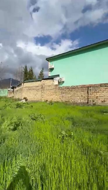 baksol yolu dernegul: 10 sot, Mülkiyyətçi, Kupça (Çıxarış) — 3