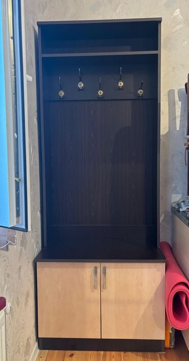 Ev üçün digər mebel: Şkaf