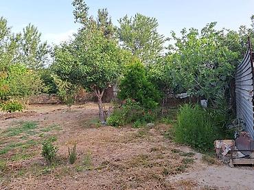 bağça satılır: 3 sot, Mülkiyyətçi, Kupça (Çıxarış) — 2