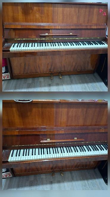 klasik gitara: Belarus pianino - Korpus: klassik şaquli (upright) model, cilalı qoz — 1