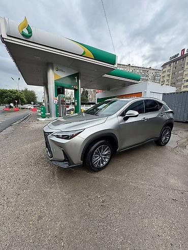 старт нак: Lexus NX: 2023 г., 2.5 л, Автомат, Гибрид, Кроссовер — 2
