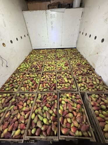 Груши: Груши В розницу, Самовывоз — 2