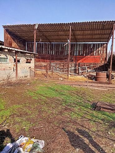 Продажа коттеджей и домов: Продам дом село Манас, участок 24соток хоз постройки баня сарай — 5