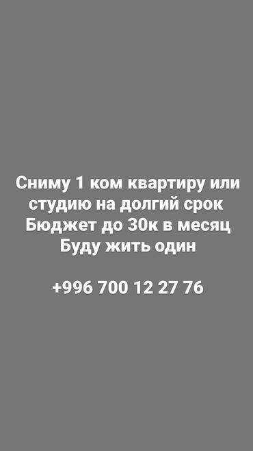 Сниму квартиру: 1 комната, 35 м², С мебелью