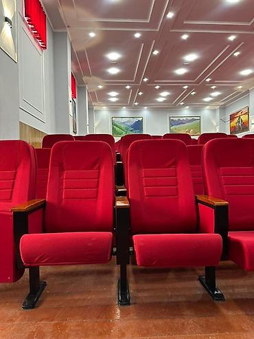 Кресла: Кресла для кинозалов, конференц‑ и лекционных аудиторий - Тип — 8