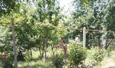 şamaxıda satılan evlər əmlak az: 3 otaqlı, 100 kv. m, Orta təmir