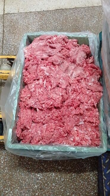 Quş: Itler pisikler ucun nezerde tutulub her gun teze olur sveji sexden — 4