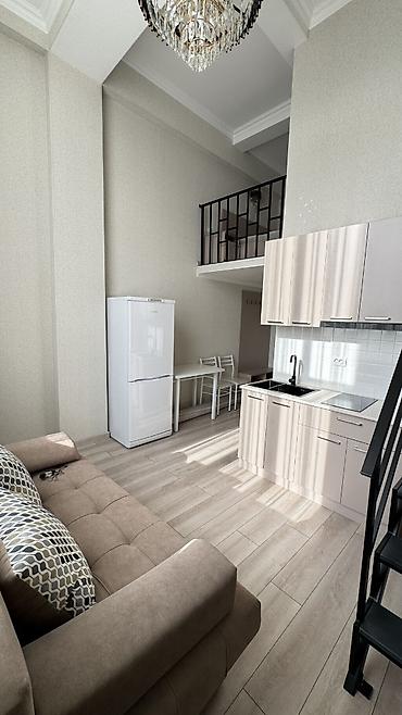 Продажа квартир: 1 комната, 29 м², Аламедин-1 мкр Элитка, 9 этаж, Евроремонт — 3