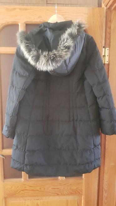 Kurtkalar: Dizden bolonka M-L razmer eyinde cox gozel durur beli ince gorsedir — 2