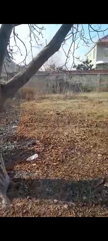 Torpaq sahələrinin satışı: 6 sot, Kupça (Çıxarış) — 19