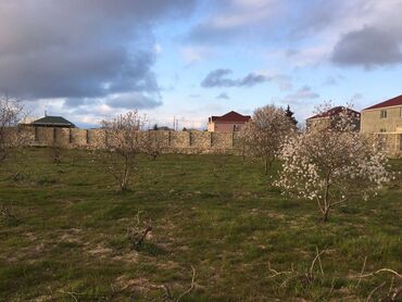 Torpaq sahələrinin satışı: 25 sot, Tikinti, Makler, Kupça (Çıxarış) — 10