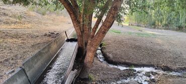 Сельхоз предприятия: Продается Кашара Фермерское- хозяйство с действующим бизнесом и с — 26