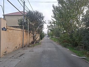 torpaq satisi: Tikinti — 3