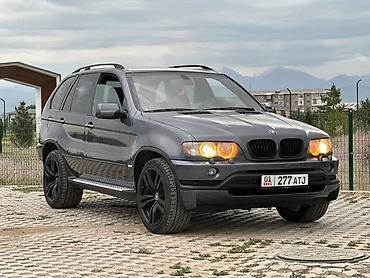 devo matiz: BMW X5: 2003 г., 4.4 л, Автомат, Бензин, Кроссовер — 4