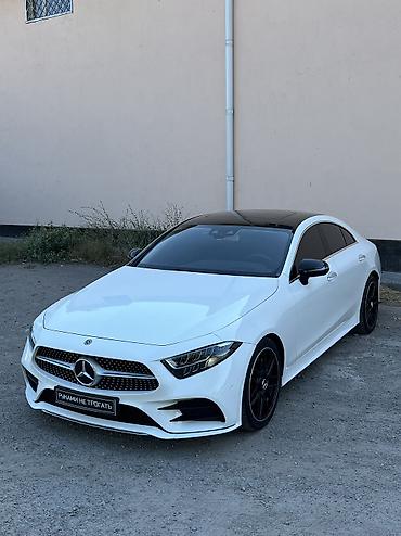 Mercedes-Benz: Mercedes-Benz CLS-Class: 2019 г., 2 л, Автомат, Дизель, Седан — 3