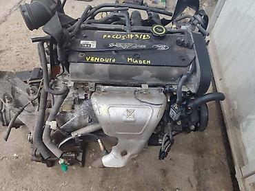 servis abs: KOMPLETAN MOTOR 1.6 16 V ZA FORD FOCUS OD 1999. DO 2004. GOD. | — 2