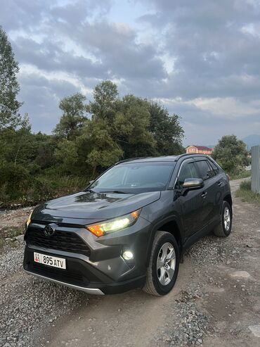 тойота рав четыре: Toyota RAV4: 2020 г., 2.5 л, Автомат, Бензин, Универсал