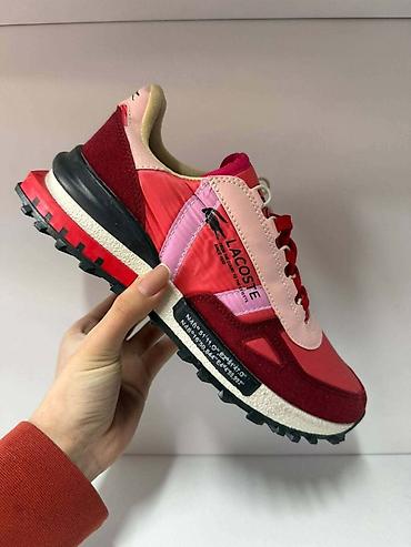 Patike: Lacosta
 36 do 44 
5200 din
PK🌛 — 4