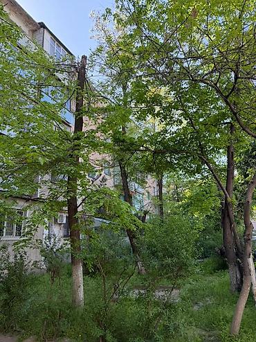 Продажа квартир: 2 комнаты, 46 м², Индивидуалка, 4 этаж, Евроремонт — 15