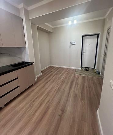 2023: 2 комнаты, 51 м², ул. Лев Толстой Элитка, 13 этаж, Евроремонт — 2