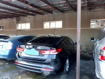 Kia: Kia K5: 2017 г., 0.2 л, Автомат, Газ, Седан — 10