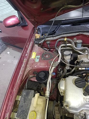 Nissan: Nissan Almera: 2001 г., 1.8 л, Механика, Бензин, Седан — 5