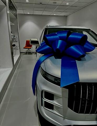 цена лук: 🚘АКЦИЯ — всего 700 сом/сутки! Предлагаем аренду стильных бантов на — 3