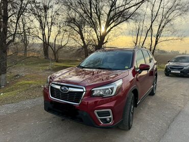 Subaru: Subaru Forester: 2019 г., 2.5 л, Вариатор, Бензин, Кроссовер