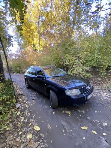 Audi: Audi A6: 2003 г., 2.5 л, Вариатор, Дизель, Универсал — 4