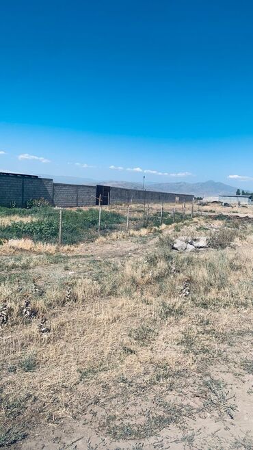 Сельхоз предприятия: Продаю Кошара, 41 соток, Действующий, Холодная вода, Электричество — 9