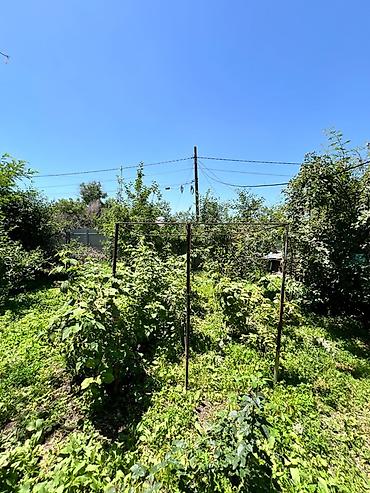 топографический: Земельный участок . 📍 Адрес: Бишкек, Рабочий городок 📐 Площадь — 2