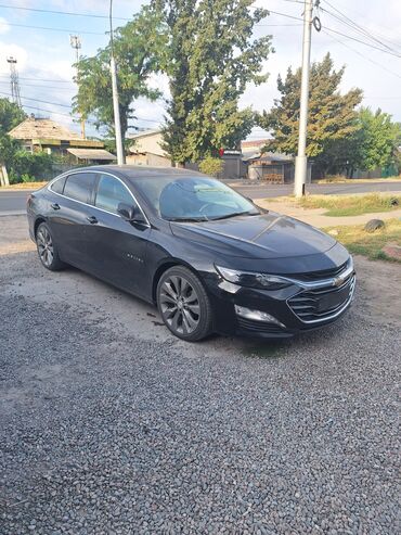 самая дорогая машина в кыргызстане 2023: Chevrolet Malibu: 2019 г., 1.4 л, Вариатор, Бензин, Седан