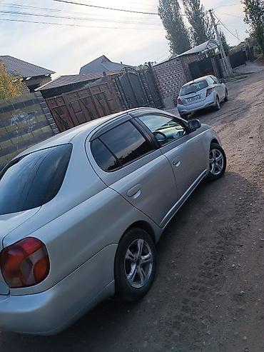 продаю или меняю на япошку: Toyota Platz: 2000 г., 1.6 л, Автомат, Бензин, Седан — 3