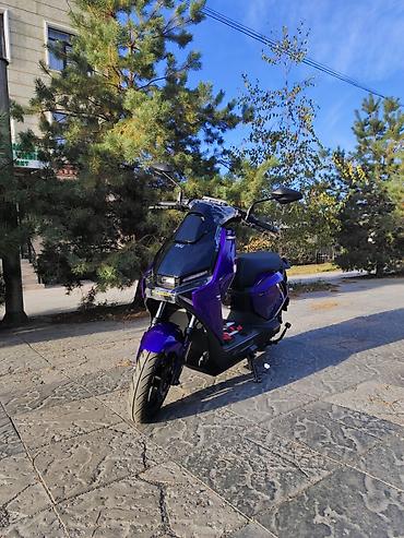 jet sky: Электроскутер NIU Wind Speed FX с ABS. В НАЛИЧИИ ОСТАЛСЯ ТОЛЬКО ОДИН — 8