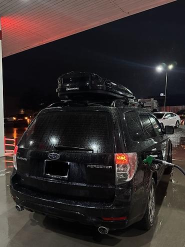 jas: Subaru Forester: 2009 г., Автомат, Бензин, Кроссовер — 4