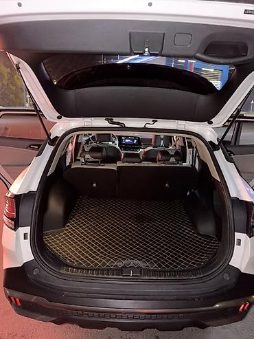 гусь для двигателя: Kia Sportage: 2023 г., 1.5 л — 9