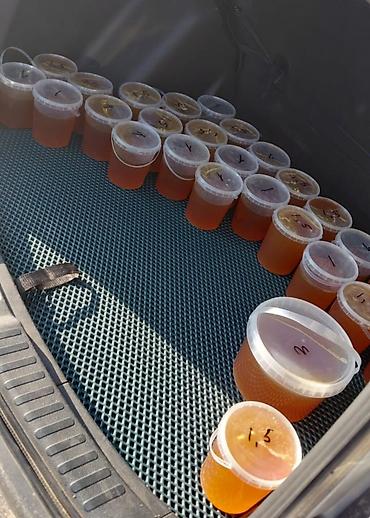 Горный мёд — 100% чистый, натуральный продукт. Особенности: - Собран