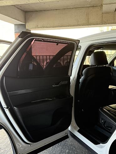 70: Hyundai Palisade: 2019 г., 2.2 л, Автомат, Дизель, Кроссовер — 8