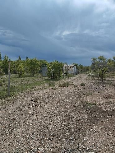 Продажа участков: 20 соток — 4