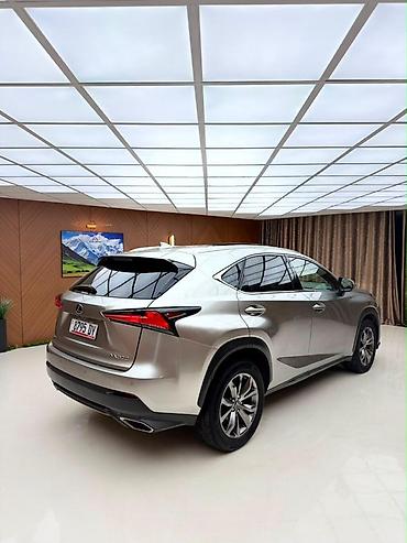 все для машины: Lexus NX: 2020 г., 2 л, Автомат, Бензин, Кроссовер — 4