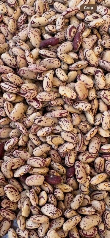 сувенир для мужчины: Пестрая фасоль (борлотти/красно-пятнистая) оптом с самарканта